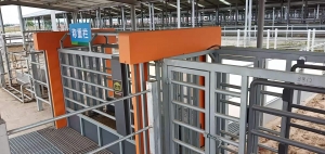 自動稱重分群系統