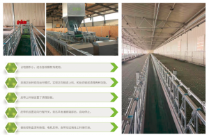 傳送帶飼喂料線(xiàn)