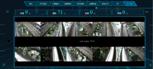 AI+VI牛只行為識別
